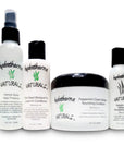 Silk Press System - Collection Set - HydrathermaNaturalsSilk Press System - Collection SetHydrathermaNaturals
